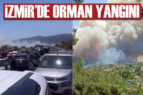 İzmir de orman yangını: Alevler yerleşim yerlerine sıçradı