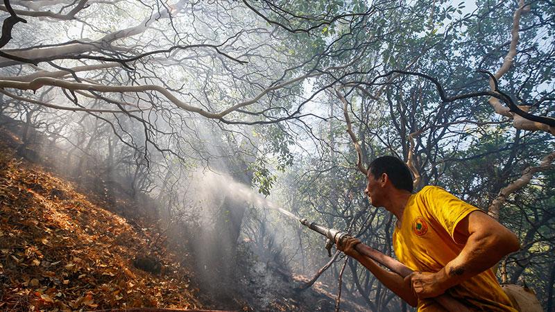 İzmir deki orman yangınında soğutma çalışmaları sürüyor