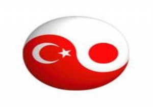 Japonya Türkiye yi Gözüne Kestirdi!