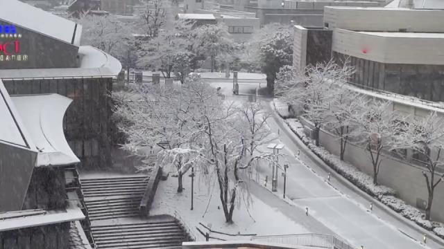 Japonya daki kar felaketi can aldı: 8 ölü!