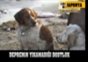 Dünya Bu Dostluğu Konuşuyor!