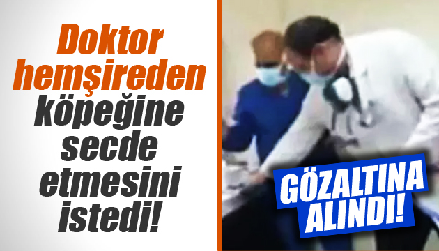 Doktor hemşireden köpeğine secde etmesini istedi! Gözaltına alındı