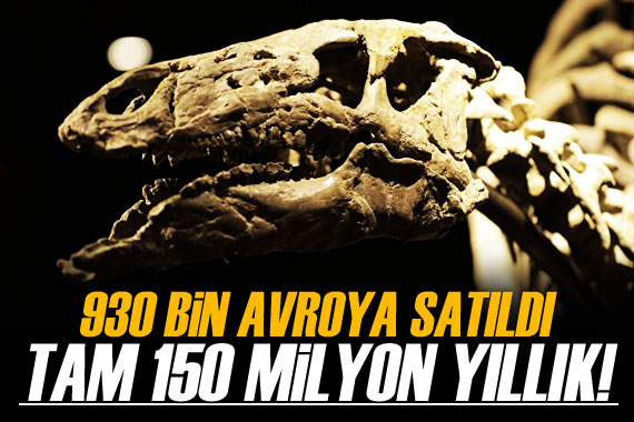 Paris te 150 milyon yıllık dinozor iskeleti açık artırmayla 930 bin avroya satıldı
