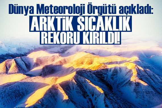Dünya Meteoroloji Örgütü: Arktik sıcaklık rekoru kırıldı!