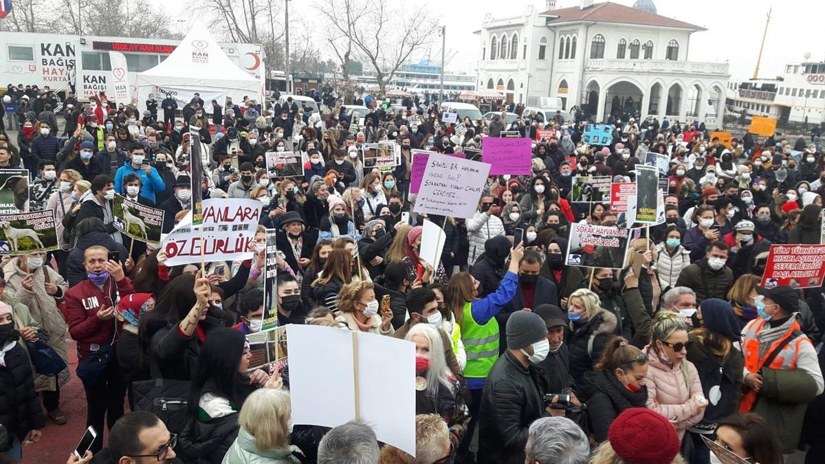 Kadıköy’de  sokak hayvanları  yürüyüşü