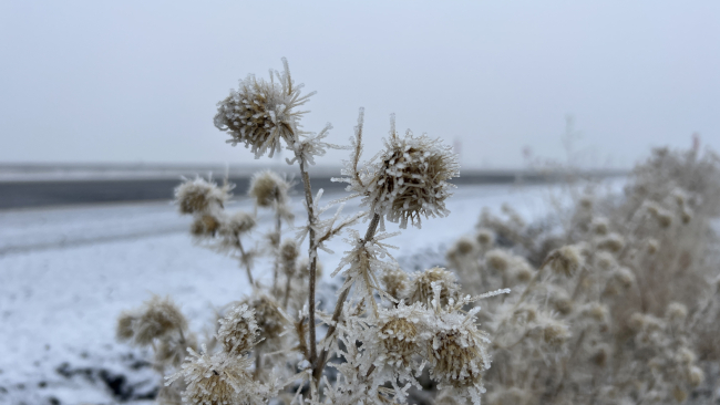 Doğu Anadolu da kar ve soğuk hava etkisini sürdürüyor