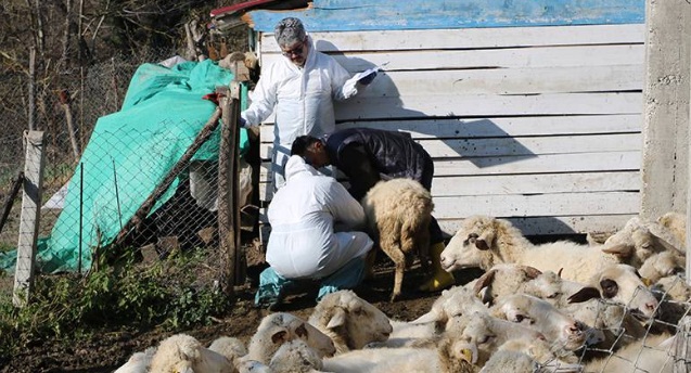 50 köy karantinaya alındı