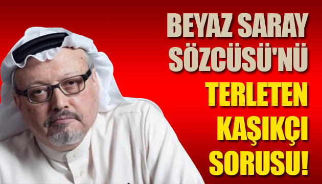 Kaşıkçı sorusu Beyaz Saray Sözcüsü nü terletti