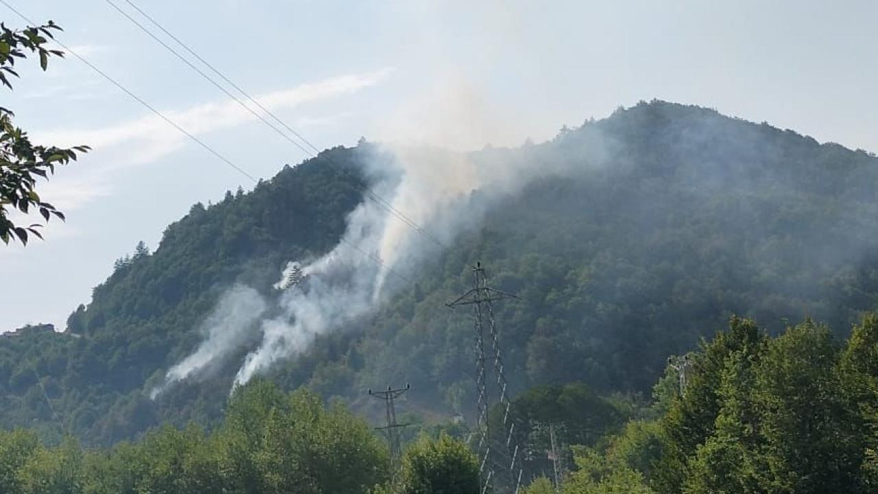 Kastamonu da orman yangını