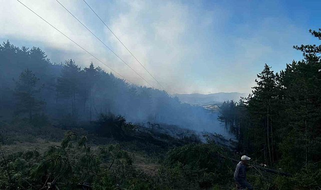 Kastamonu daki orman yangını kontrol altına alındı