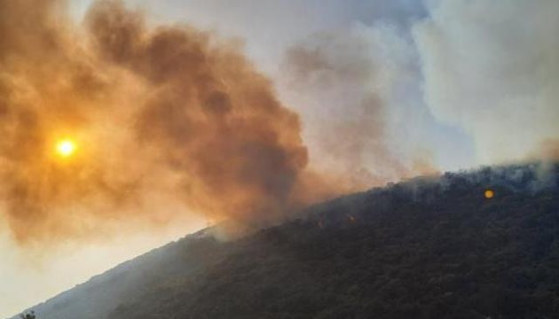 Kaş'ta yangın paniği!