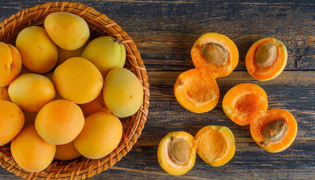 Türkiye den Avrupa ya giden kayısı çekirdeğinde siyanür, portakalda pestisit riski tespit edildi