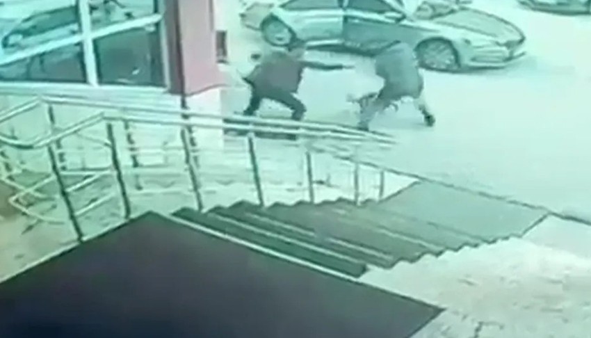 Kaymakamdan köpeğe tekme iddiası: Baba ve oğlu anlattı, suç duyurusunda bulundular