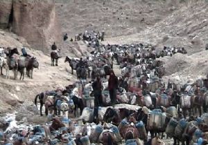 Fransa da İnsan Kaçakçısı Çeteye Darbe