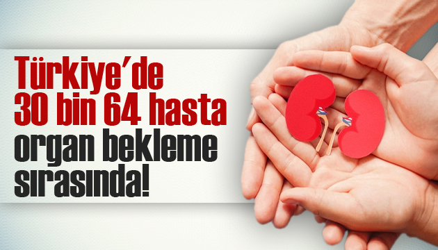 Türkiye de 30 bin 64 hasta organ bekleme sırasında