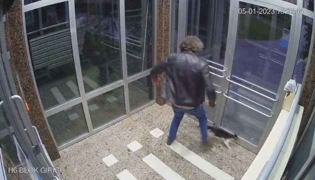 Kedilere işkence eden caninin savunması 'pes' dedirtti!