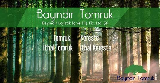 Bayındır Tomruk & Kereste | Sektör Nerede ve Nereye Gidiyor?