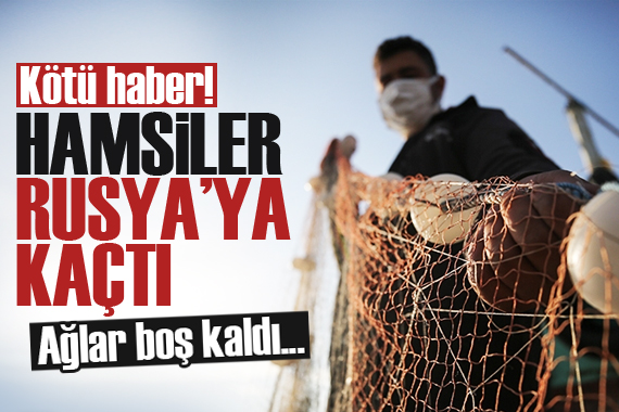 Kötü haber! Hamsiler Rusya ya kaçtı