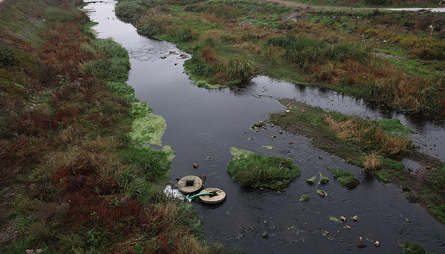 Su kirliliğine karşı çağrı