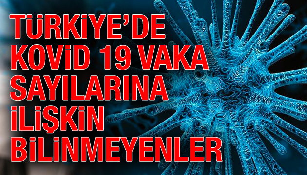 Türkiye de koronavirüs vaka sayılarına ilişkin bilinmeyenler!