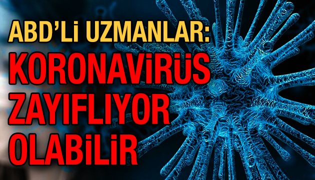 ABD li uzmanlardan  Mutasyona uğrayan koronavirüs zayıflıyor olabilir  açıklaması