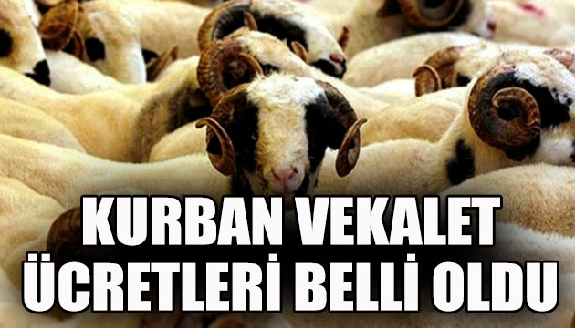 Kurban vekalet ücretleri belli oldu!