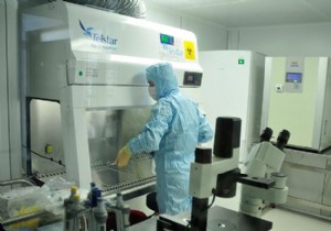 Danimarka da MRSA tehdidi gittikçe büyüyor!
