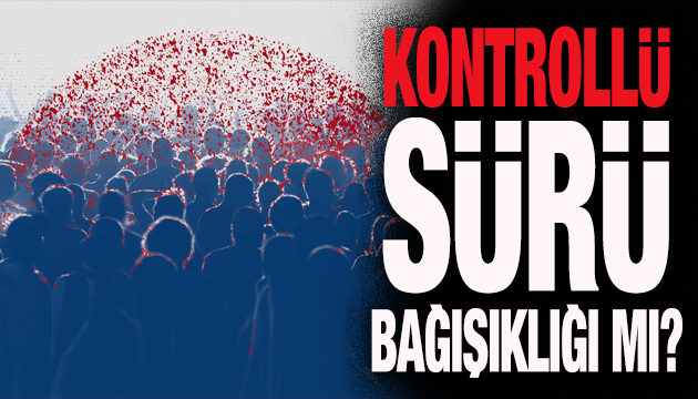 Kontrollü sürü bağışıklığı sistemi (analiz)