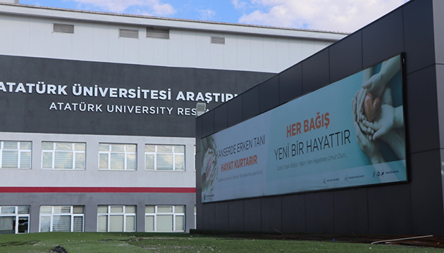 10 ayda 34 organ nakli