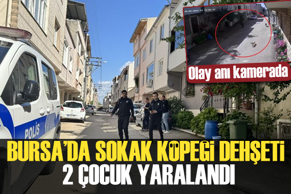 Bursa da sokak köpeği dehşeti: 2 çocuk yaralı