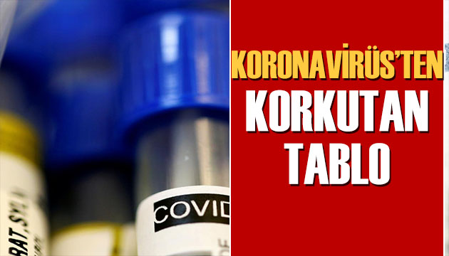 Türkiye de koronavirüs tablosu korkutmaya başladı