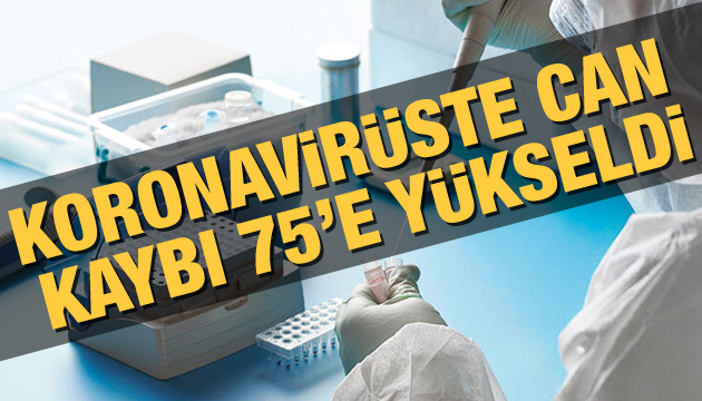 Koronavirüste can kaybı 75 e yükseldi