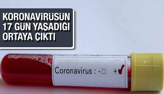 Koronavirüsün 17 gün yaşadığı ortaya çıktı!