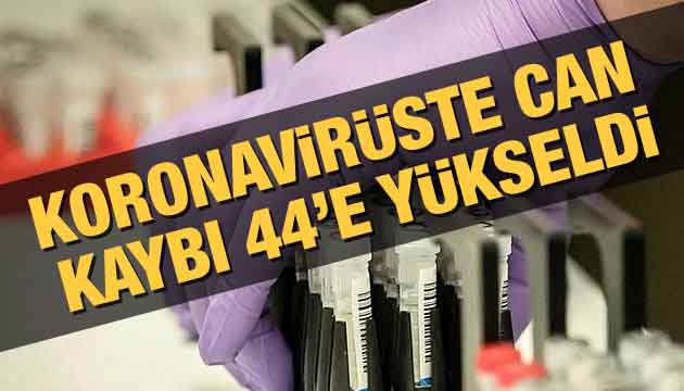 Koronavirüste can kaybı 44 e yükseldi