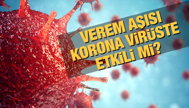 Verem aşısı korona virüste etkili mi?