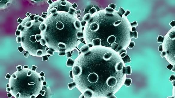 DSÖ den hükümetlere  koronavirüs  uyarısı