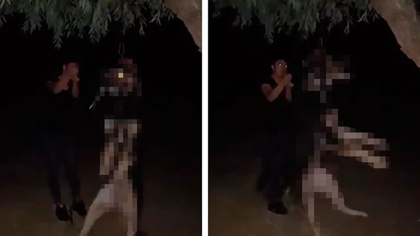 Kan donduran vahşet!