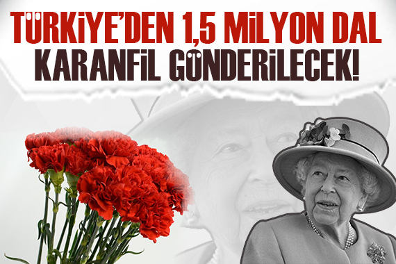 Kraliçe Elizabeth in cenazesi için Türkiye den 1,5 milyon karanfil!
