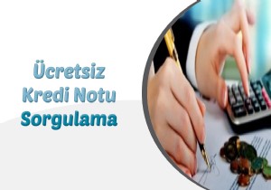 Kredi Notu Öğrenme Sitesi kredisorgulama.org
