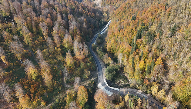 Sinop ta görsel şölen