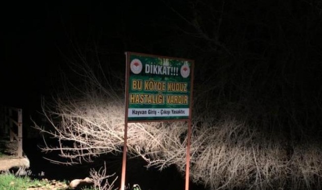 Kuduz paniği! 3 köy karantinaya alındı