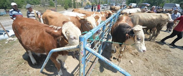 Bakanlıktan Kurban uyarısı!