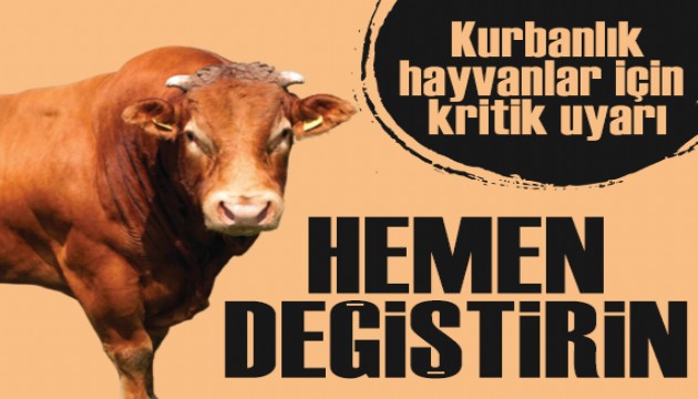 HORMONLU KURBANLIKLARA DİKKAT!