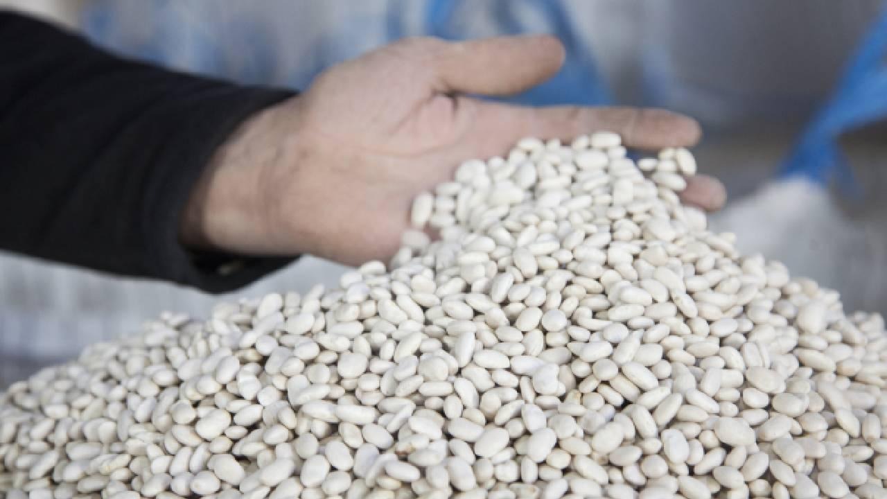 DMM,  kuru fasulye krizi  iddiasına açıklık getirdi