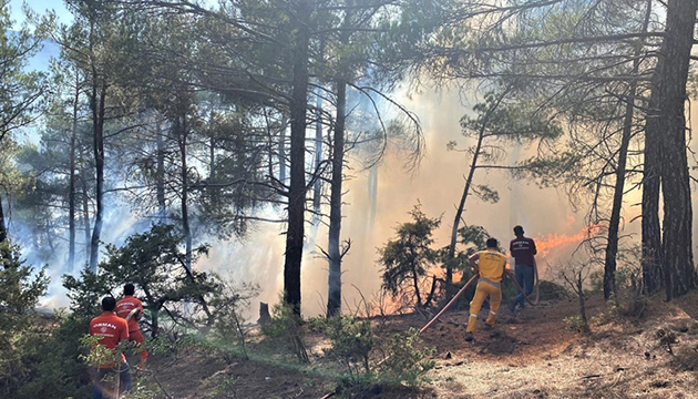 Kütahya da çıkan yangın söndürüldü!