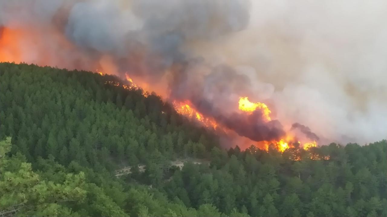 Kütahya da orman yangını