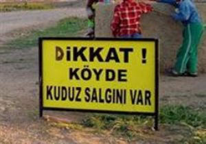 Kuduz Hastalığı ile Mücadele Yönetmeliği Yayımlandı