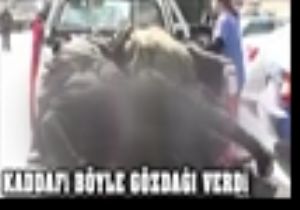 İşte Kaddafi nin Ordusunun Görüntüleri!