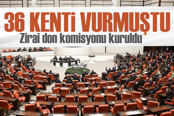 Meclis te  zirai don  komisyonu kuruldu