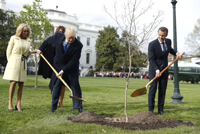 Macron ile Trump ın diktiği fidan söküldü